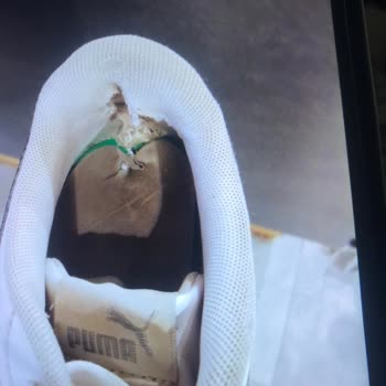 Puma Ayakkabımın Tabanı Çöktü, Firma Sorumluluk Almıyor
