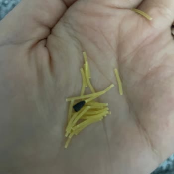 Ankara Makarna'nın Tel Şehriyesinde Hijyen Sorunu
