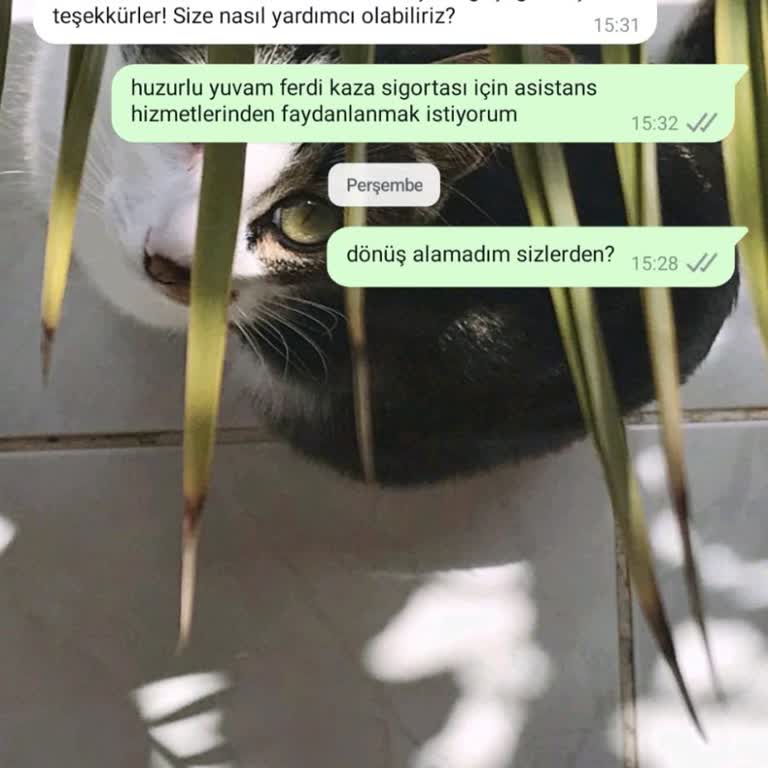 Katılım Emeklilik Asistans Hizmetleri Ulaşılmaz Durumda