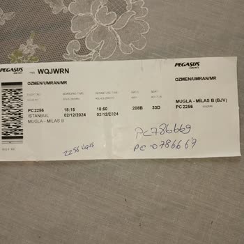 Pegasus İle Bagaj Kayıp, Tazminat Yetersiz