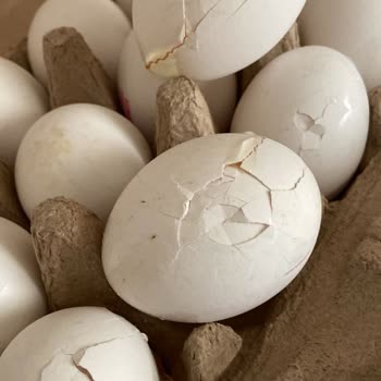 A101 Kapıda Uygulamasında Sipariş Sorunu