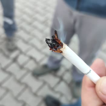 Marlboro Touch Blue Paketinden Çıkan Yabancı Maddeler