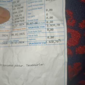 Doğalgaz Faturası Şoku: Tek Soba İçin 3.920 TL!