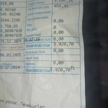 Doğalgaz Faturası Şoku: Tek Soba İçin 3.920 TL!