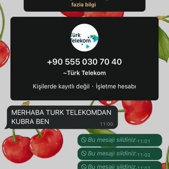 Yanıltıcı Arama Ve Kimlik Bilgisi Talebi