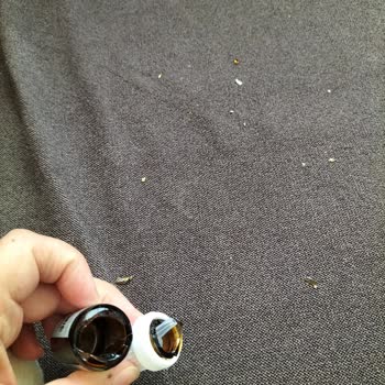 Trendyol Wibego Mağazasından Aldığım Ürünün Kargoda Hasar Görmesi!