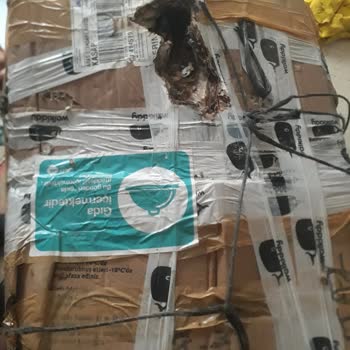 Kargo Sürecinde Fare Zararına Uğrayan Kazlar