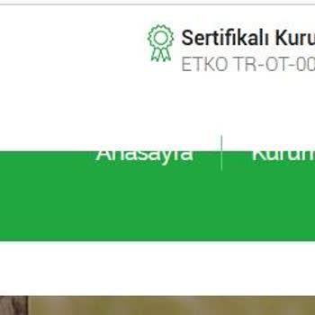 Organik Yumurta Satın Alma Deneyimi