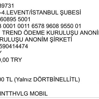 Para Transferinde Yaşanan Gecikme