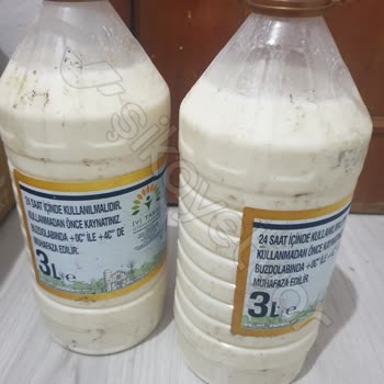 Hijyen Sorunu: Tazedirekt'ten Beklenmedik Deneyim