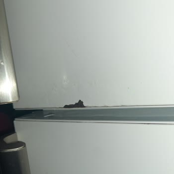 Profilo Buzdolabında Sürekli Arızalar Ve Paslanma Sorunu