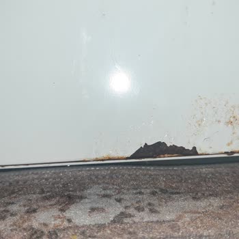 Profilo Buzdolabında Sürekli Arızalar Ve Paslanma Sorunu