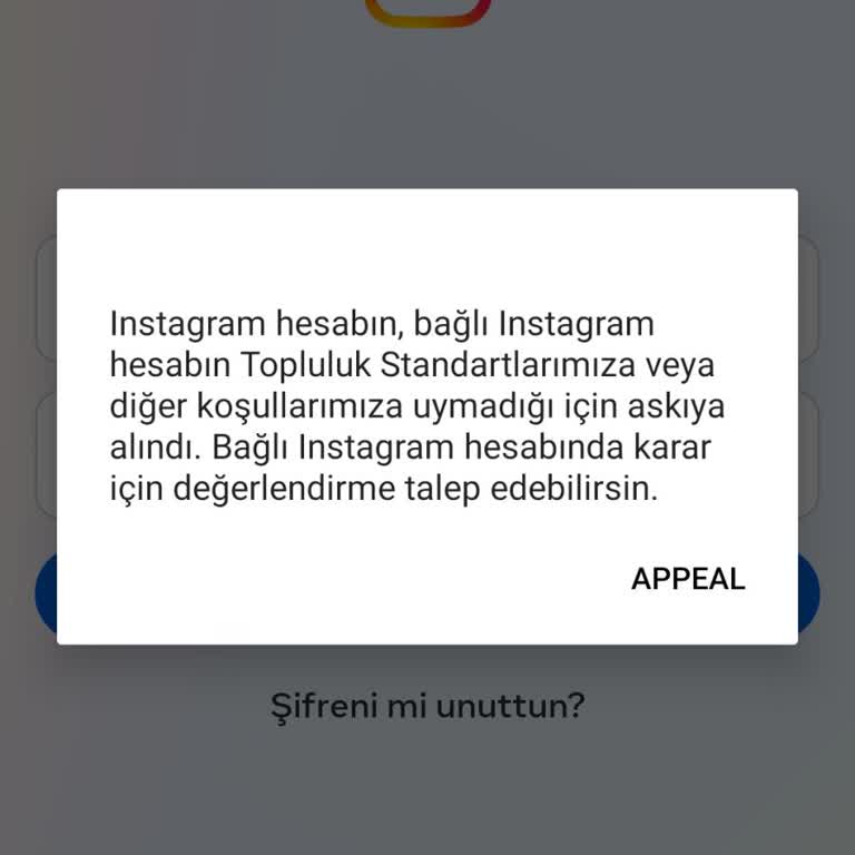 Instagram Hesabım Haksız Yere Kapatıldı, Acil Yardım Bekliyorum!