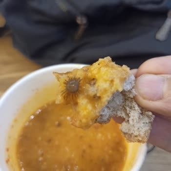 Halk Sağlığı Tehlikede: Çorba İçinden Çıkan Madde