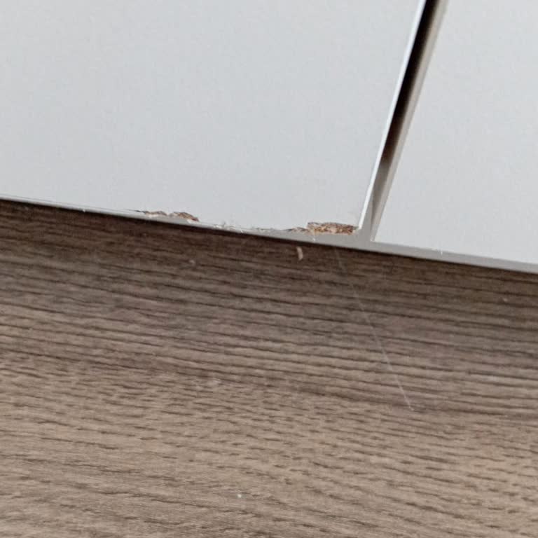 Konfor Mobilya'nın Montaj Ve Servis Sorunları