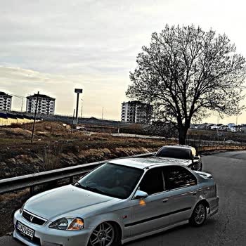 Milestone 195/45/14 Tires Damaged Within 1.5 Years – Requesting Support