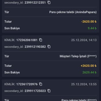 Yatırım Bonusunda Yaşanan Sorunlar