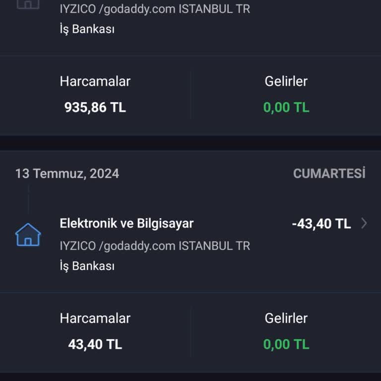 Unberechtigte Abbuchung durch GoDaddy von meinem iyzico-Konto