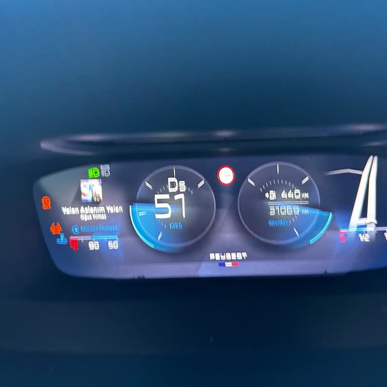 Peugeot 308 Gösterge Panelindeki Sinek Sorunu