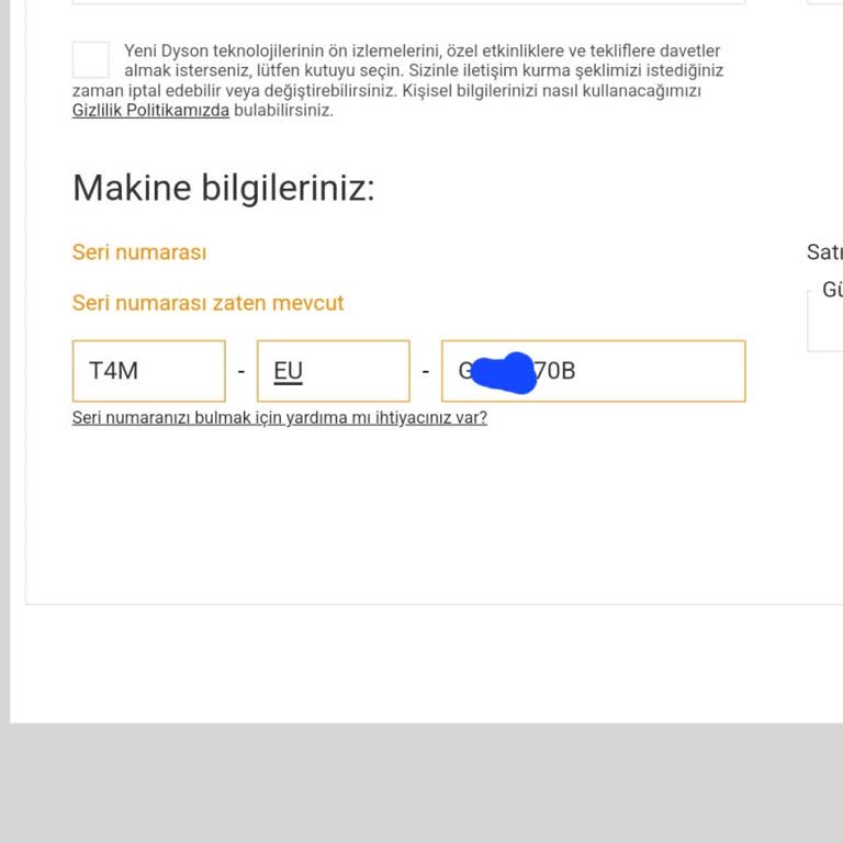 Trendyol'dan Alınan Dyson Airwrap İçin Garanti Sorunu