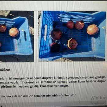 Sigorta Poliçesi İptali Ve Eksper Tavırları Hakkında Şikayet