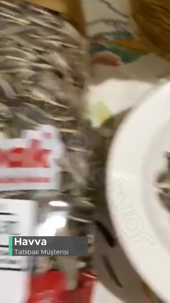 Tatlıbak Çekirdekten Kurt Çıktı! videonun kapak resmi