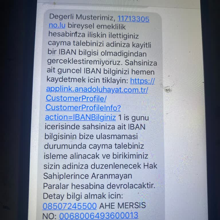 Anadolu Hayat Emeklilik'te Otomatik Katılım Sorunu Ve Geciken Ödeme