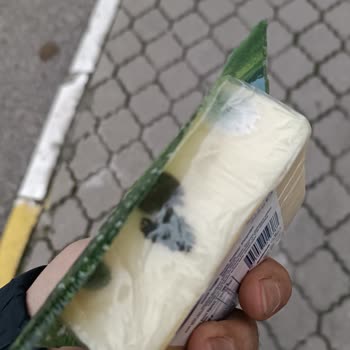 Son Kullanma Tarihi Geçmemiş Peynirin Bozulması