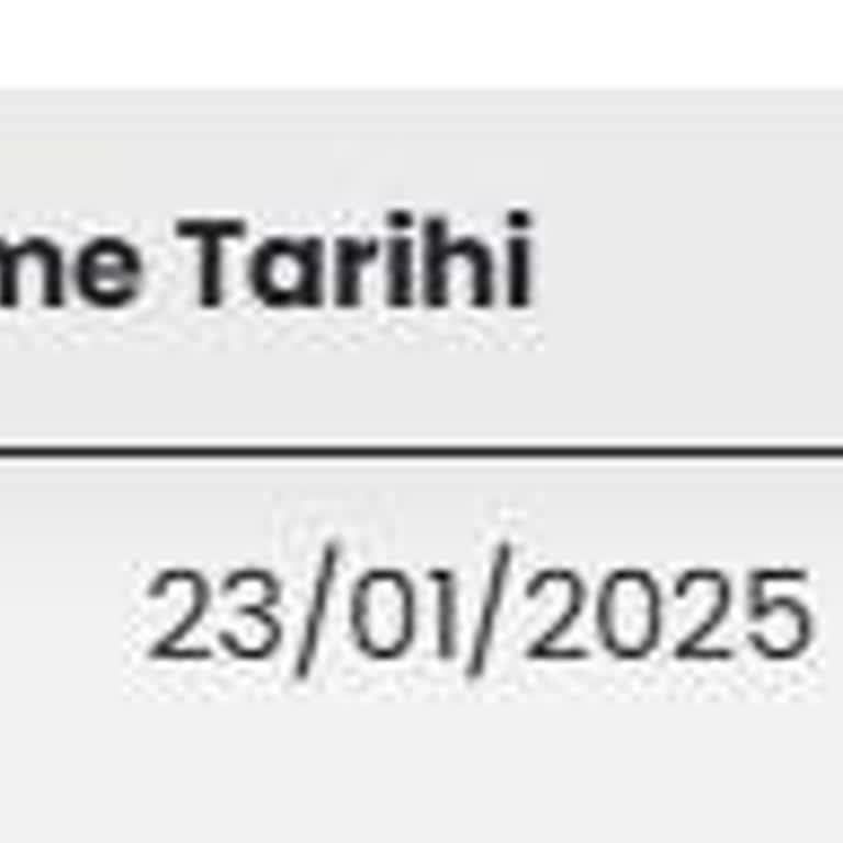 Minecraft Sunucusu Erişim Sorunu Ve Yetersiz Destek