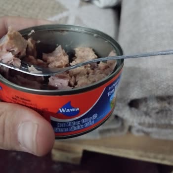 A101 Markalı Ton Balığında Şüpheli Madde