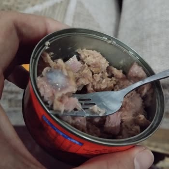 A101 Markalı Ton Balığında Şüpheli Madde