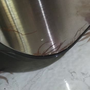 Onvo Airfryer Paslanma Sorunu Ve Servis Gecikmesi