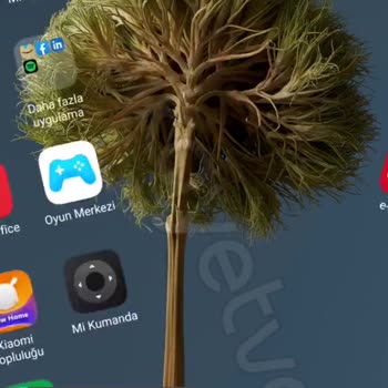 Giriş Yapmak İçin Resmi WhatsApp Uygulamasına Sahip Olmanız Gerekiyor!