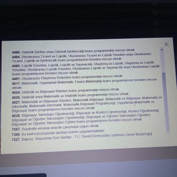 Bilgisayar Programcısı Atama Sorunu