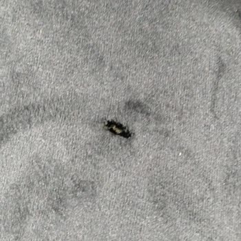 Bozdoğanlar Nizip Şubesinde Sürekli Kusurlu Ürün Ve Geç Teslimat Sorunu