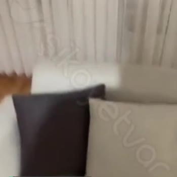 Bellona Kanepe Ses Şikayeti!