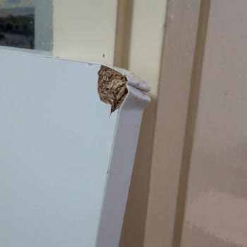 Teslimat Sorunu Ve Hasarlı Ürün Mağduriyeti