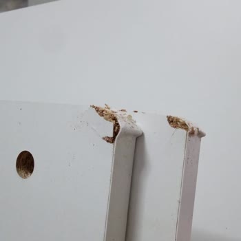 Teslimat Sorunu Ve Hasarlı Ürün Mağduriyeti