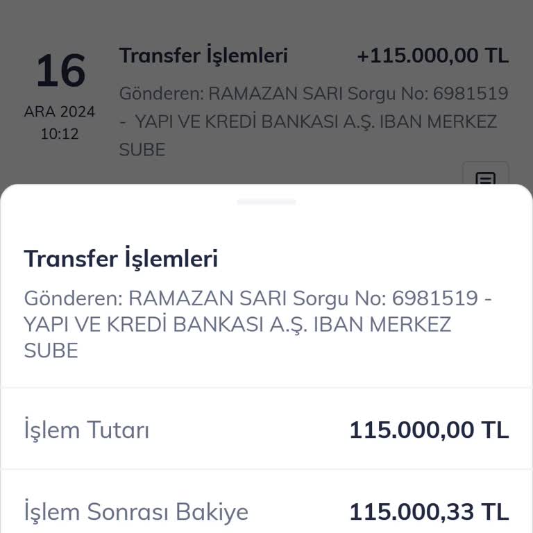 Yanlış İşlem: Kredi Kartı Borçlandırması Sorunu