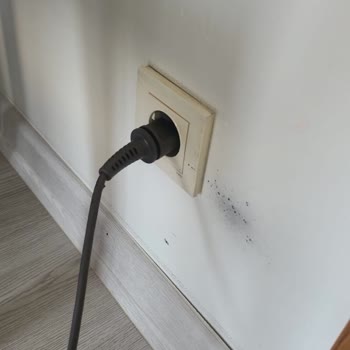 Dyson Süpürge Patlama Tehlikesi: Can Güvenliği Riski