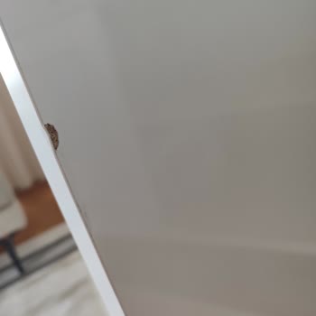 Gündoğdu Mobilya'dan Aldığımız Ürünler Defolu Çıktı