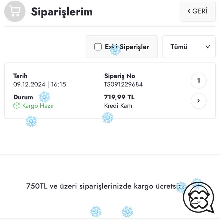 Kayıp Kargo: 16 Günlük Bekleyiş