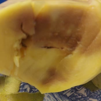 Mango Alışverişinde Hayal Kırıklığı
