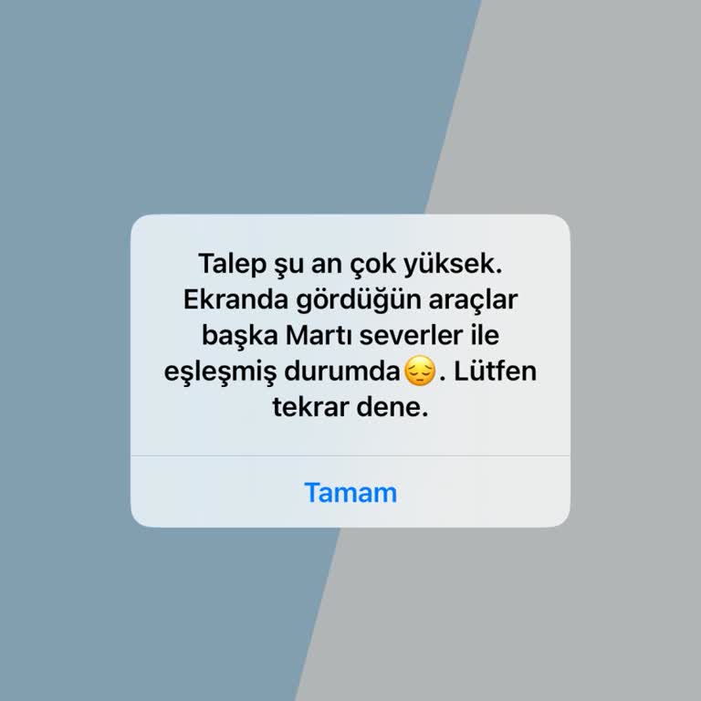 Martı Uygulamada Sürekli Yüksek Talep Hatası