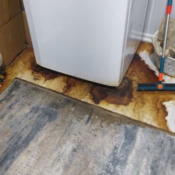 Derin Dondurucu Felaketi: Zararım Karşılanmadı!