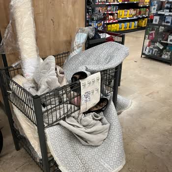 Tarihi Geçmiş Ürünler Ve Hijyen Sorunları