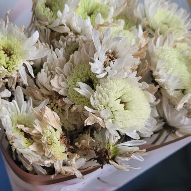 Çürük Çiçek Ve İlgisizlik: Migros'tan Para İadesi Talebi