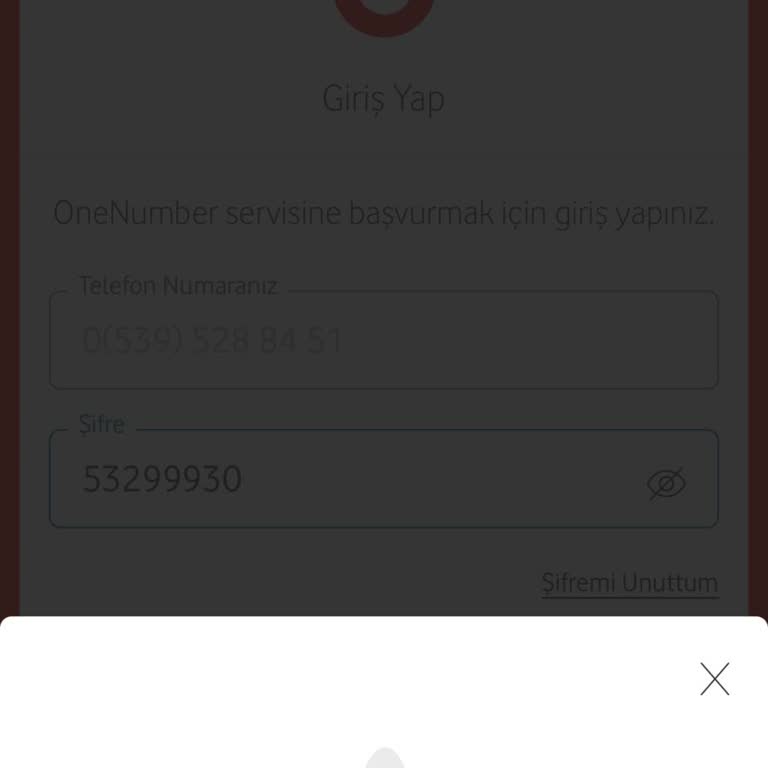 Vodafone'da One Number Sorunu: Çözüm Bekleniyor