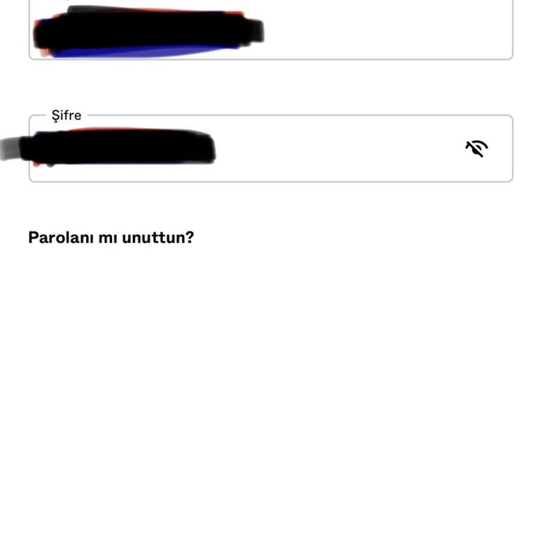 Hesap Giriş Sorunu Ve Yetersiz Müşteri Hizmetleri