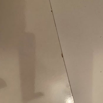 Trendyol'da İade Süreci Çilesi: Kırık Ürün Ve Muhatap Bulamama Sorunu